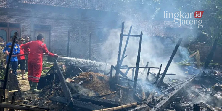 Kebakaran di Sarimulyo Pati, 4 Ekor Kambing Tewas Terpanggang