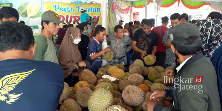 Mulai Harga Rp 20 Ribu, Festival Durian di Kendal Diserbu Pengunjung