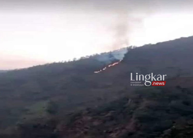 Kebakaran Landa Hutan di Lereng Gunung Merbabu Boyolali