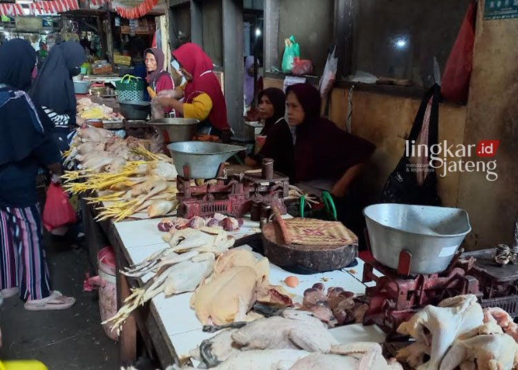 Ramadhan, Harga Ayam Kampung di Kendal Meroket Rp 90 Ribu per Kilogram
