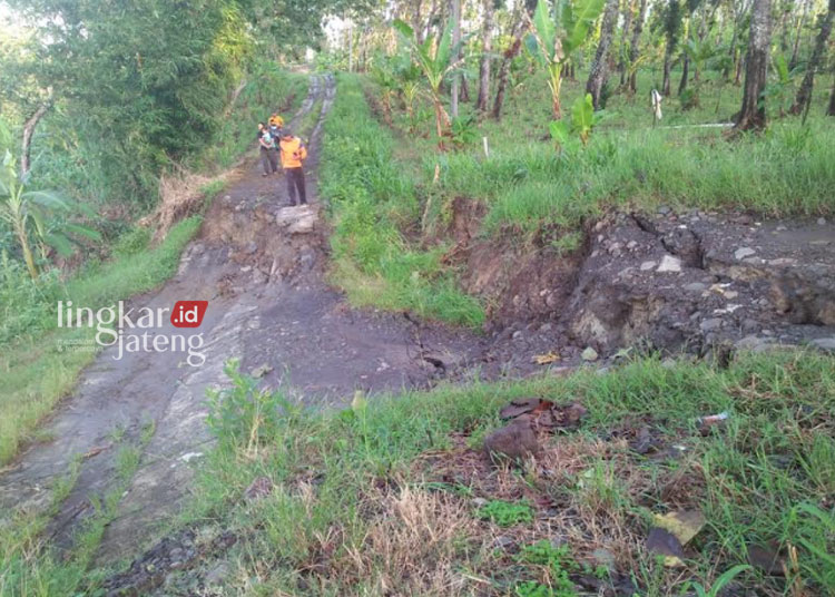 Pohon Tumbang, Banjir Rob hingga Longsor Masih Terjadi di Kendal Meski Masuki Kemarau