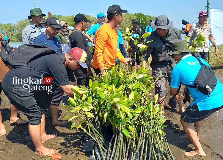 Dinas Kehutanan Jateng Apresiasi Penanaman Pohon Mangrove oleh DLH Kendal